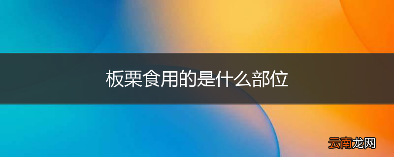 板栗食用的是什么部位
