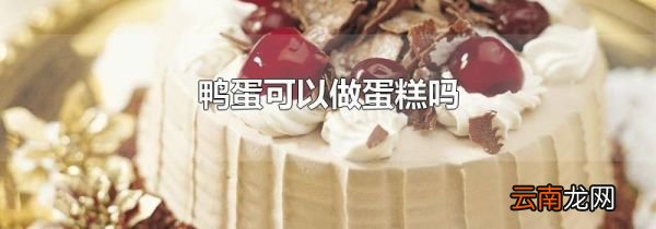 鸭蛋可以做蛋糕吗