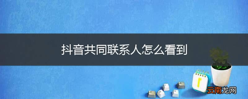 抖音共同联系人怎么看到