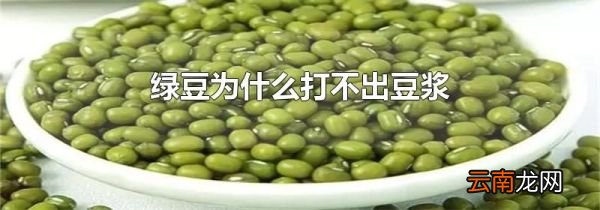 绿豆为什么打不出豆浆