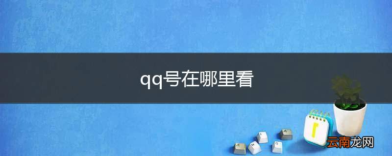 qq号在哪里看