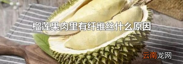 榴莲果肉里有纤维丝什么原因