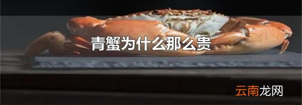青蟹为什么那么贵
