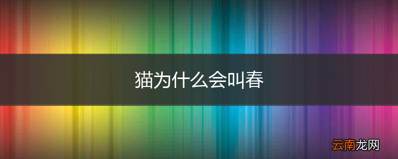 猫为什么会叫春