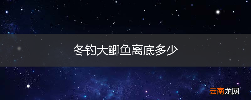 冬钓大鲫鱼离底多少