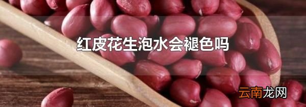 红皮花生泡水会褪色吗