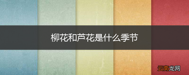 柳花和芦花是什么季节