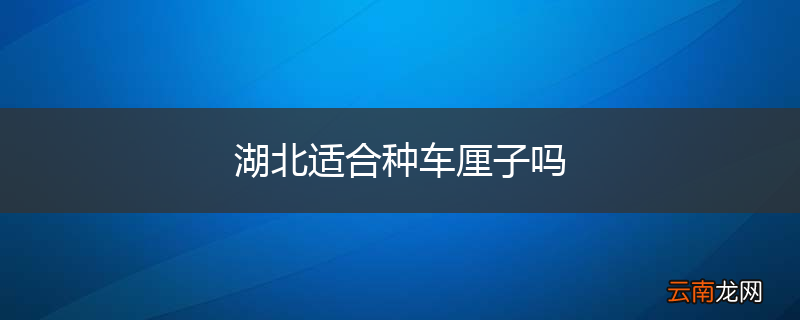 湖北适合种车厘子吗