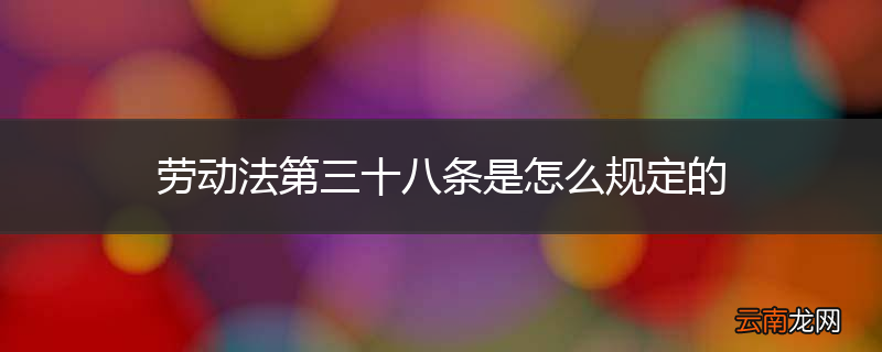 劳动法第三十八条是怎么规定的