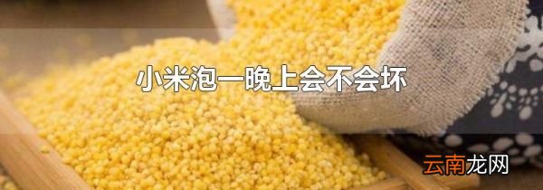 小米泡一晚上会不会坏