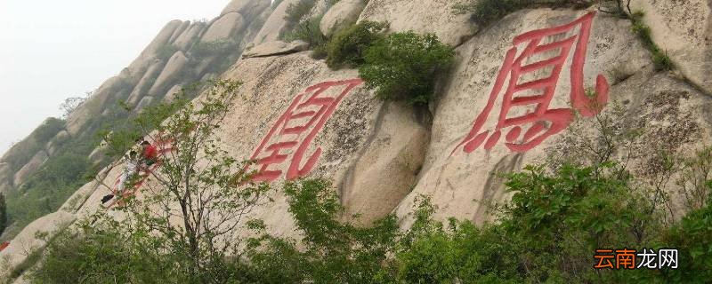 凤凰岭海拔