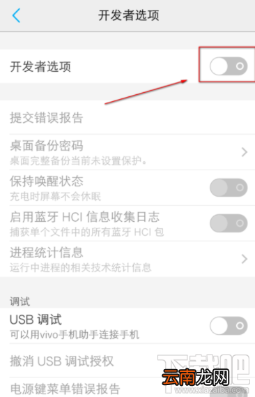 vivo手机怎么关闭开发者模式？