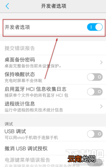 vivo手机怎么关闭开发者模式？