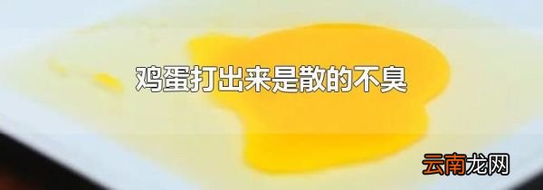 鸡蛋打出来是散的不臭