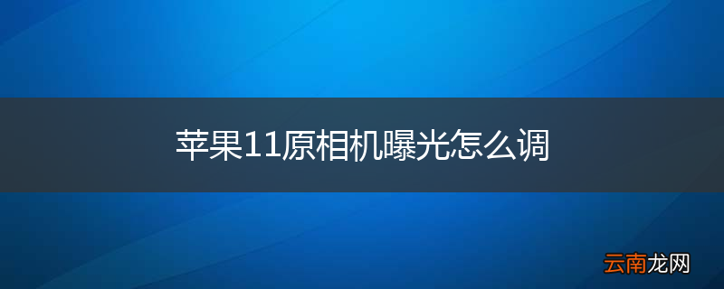苹果11原相机曝光怎么调