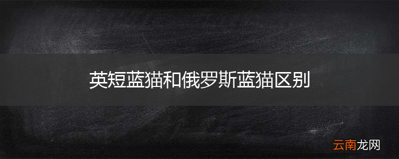 英短蓝猫和俄罗斯蓝猫区别