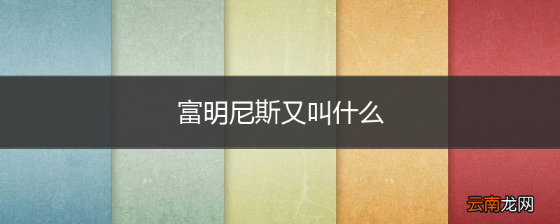 富明尼斯又叫什么