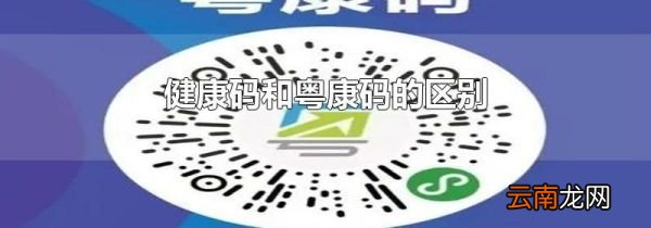 健康码和粤康码的区别