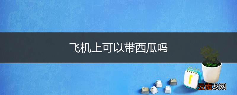 飞机上可以带西瓜吗