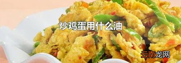 炒鸡蛋用什么油