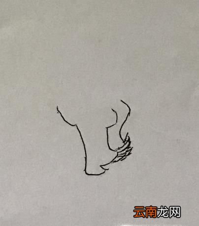 画龙的简笔画