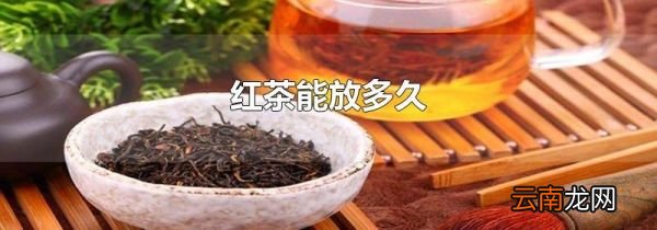 红茶能放多久