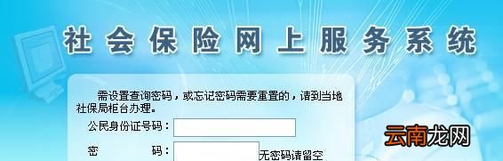 如何正确查询养老保险的缴费情况？