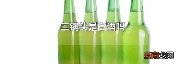 二锅头是白酒吗