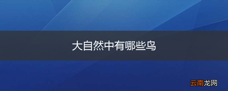 大自然中有哪些鸟
