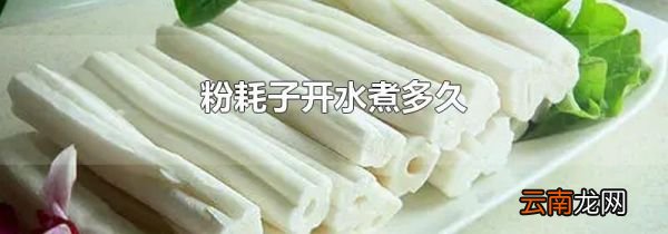 粉耗子开水煮多久