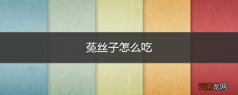 菟丝子怎么吃