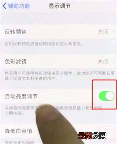 iphonex中关闭亮度调节的操作步骤