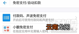 支付宝怎么防止金额被盗？
