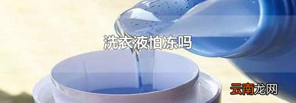 洗衣液怕冻吗