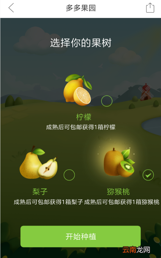 拼多多中找到果园位置具体操作步骤