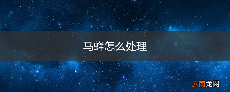 马蜂怎么处理