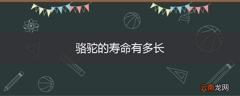 骆驼的寿命有多长