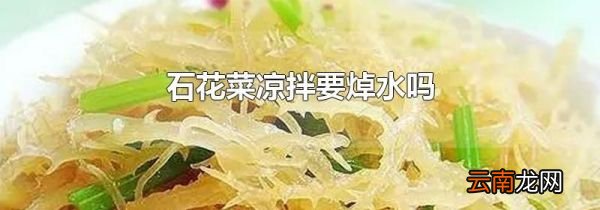 石花菜凉拌要焯水吗