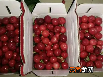 盒装车厘子怎么保存