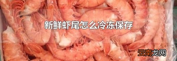新鲜虾尾怎么冷冻保存