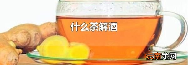 什么茶解酒