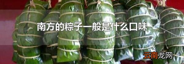 南方的粽子一般是什么口味