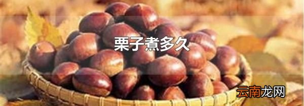 栗子煮多久