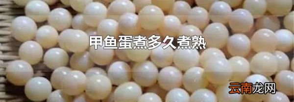 甲鱼蛋煮多久煮熟