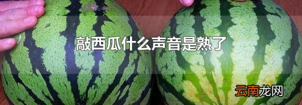 敲西瓜什么声音是熟了