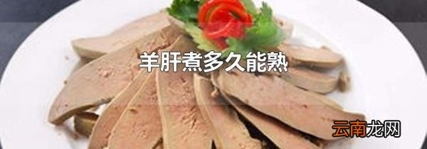 羊肝煮多久能熟