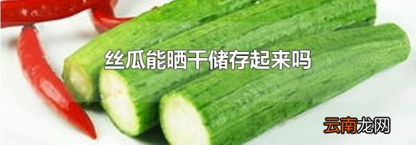 丝瓜能晒干储存起来吗