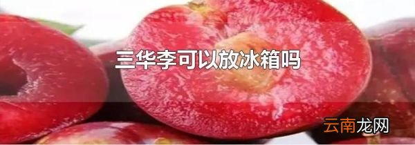 三华李可以放冰箱吗