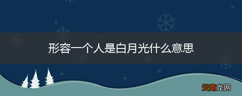 形容一个人是白月光什么意思