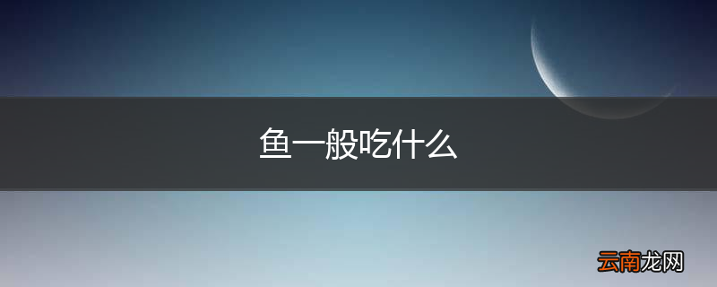 鱼一般吃什么
